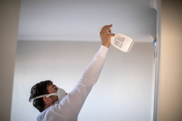Best Mold Removal Process  in Lawrenceville, VA