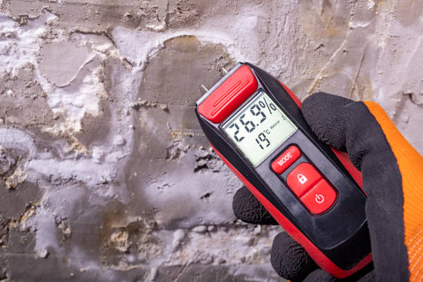 Crawl Space Mold Removal in Lawrenceville, VA