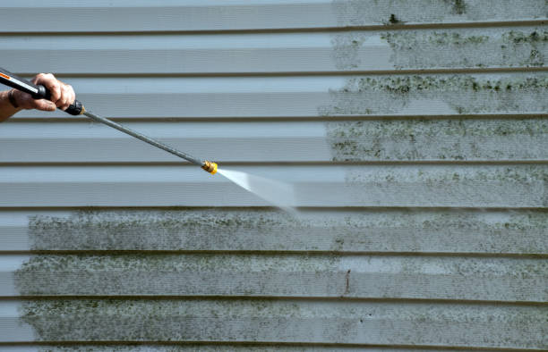 Mold Removal and Inspection in Lawrenceville, VA
